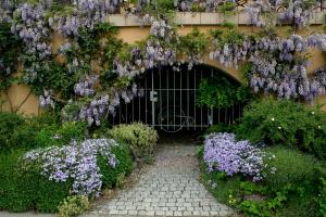 Villa Linke am Bodensee