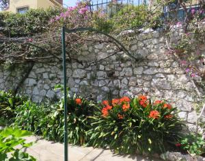 Appartement Villa Mandarine apartment No 2 18 Avenue de Saint-Estève 06230 Villefranche-sur-Mer Provence-Alpes-Côte d\'Azur