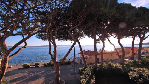 Villa Maxime