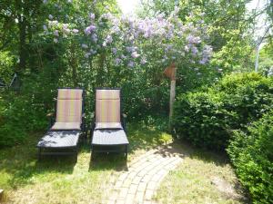 Villa Romantica Appartement - 300m zum Strand