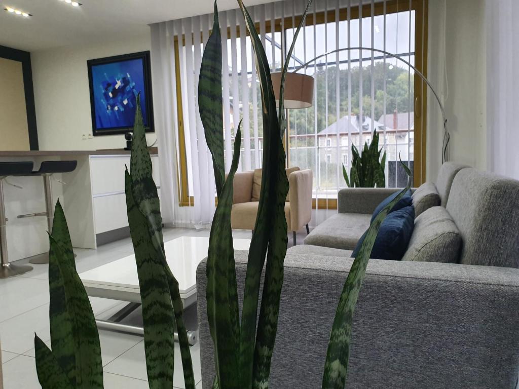 Villa Störtebeker - 4 Sterne Fewo mit WLAN - 45491