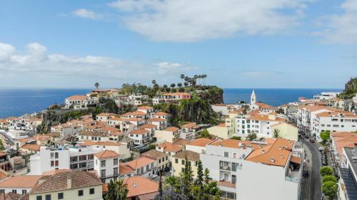 Village Lobos Flat