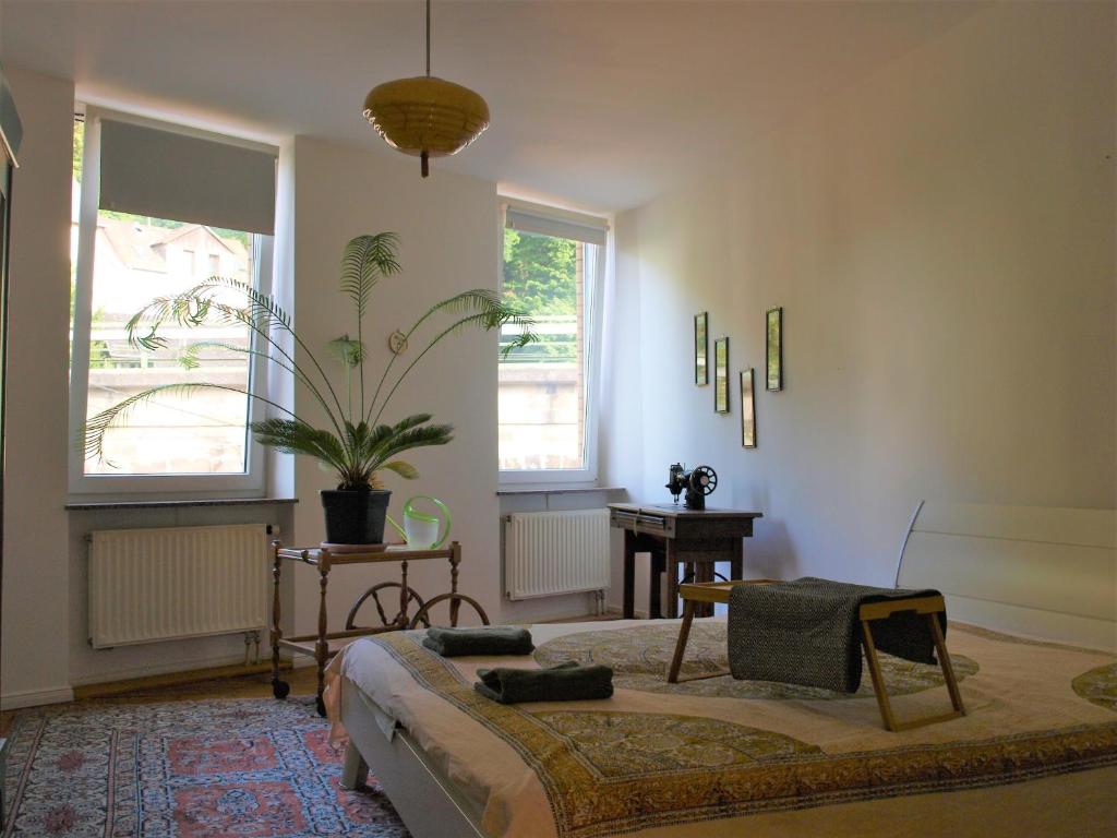 Appartement Vintage-Altbauwohnung, SmartTV & Kaffeevollautomat 90 Wasenstraße 55743 Idar-Oberstein