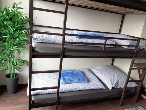 Virginie Fewo Nr 3 90qm inklusive Balkon und privatem Parkplatz