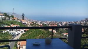 Vista Funchal