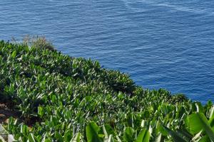 Vista Mar, a Home in Madeira
