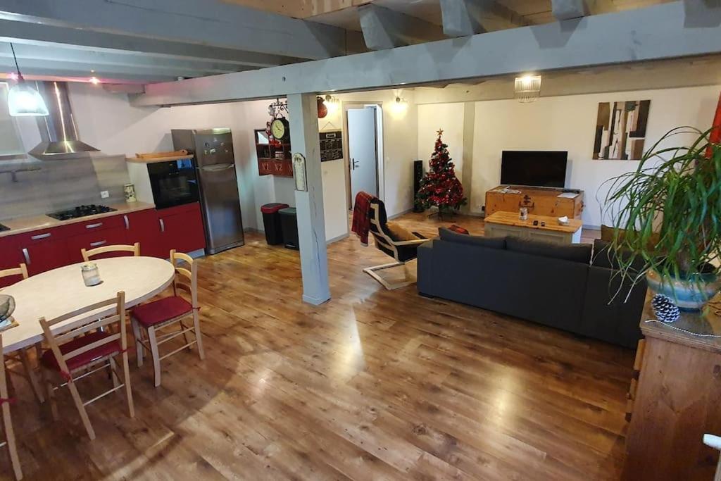 Vittel Studio neuf en Centre-ville idéal curiste