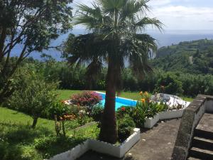 Appartement Vivenda Flores - Casa Hortensia Rua do Pau Queimado 9960-520 Lomba Açores