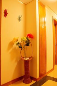 Vizinha’s Dad’s Apartment