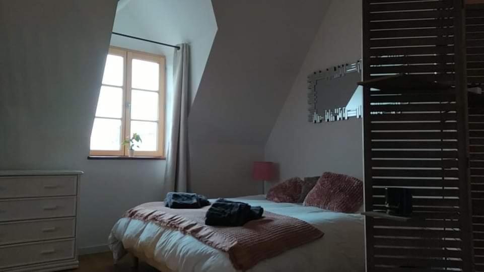 Vogelmann Suite