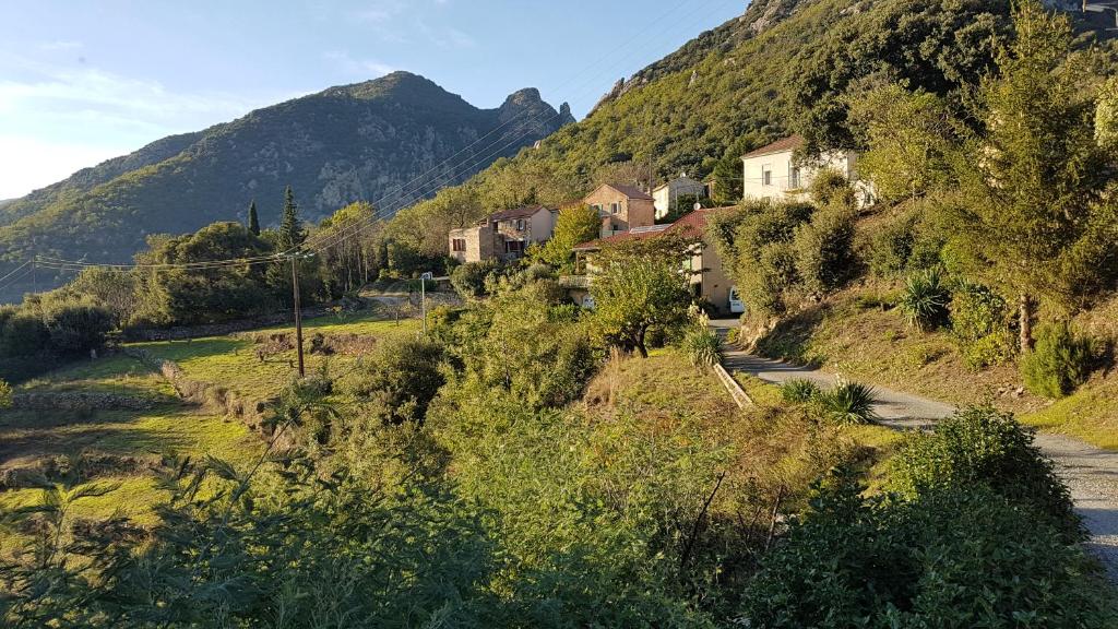 Volets rouges La Coste La Trivalle, 34390 Mons