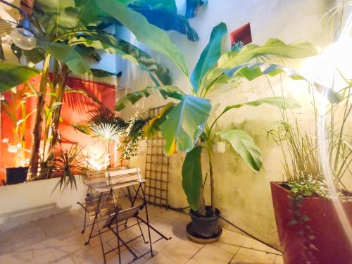 Votre Escale Jungle Sauna & Spa