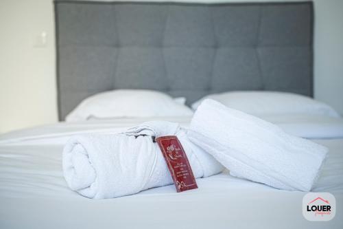 Voyages & DéplacementsAppt Calme et Confort - plein coeur de Tours