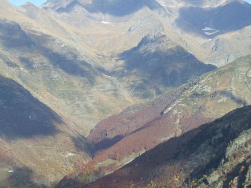 VU DU TOIT