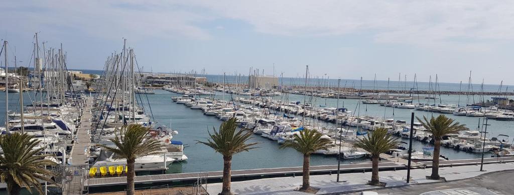 Appartement Vue exceptionelle mer, Port et plancha !! 15 Rue du Port 66140 Canet-en-Roussillon