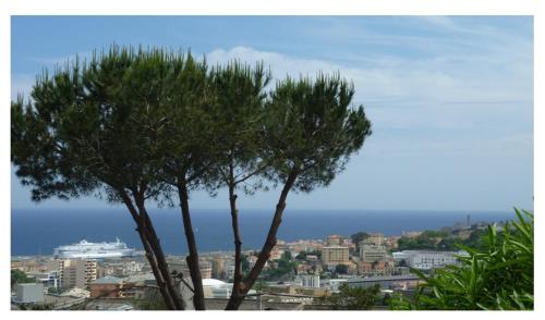 Appartement Appartement vue mer les terrasses de fontanone bat d Bastia