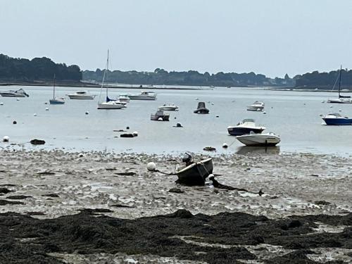 Vue mer - au pied des sentiers côtiers