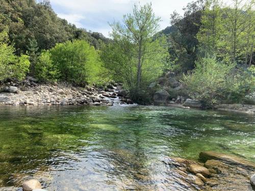Vue mer- Bienvenue en Corse 4 pers-piscine