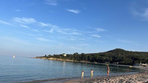 Vue mer- Bienvenue en Corse 4 pers-piscine