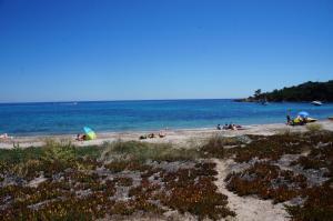 Vue mer Corse