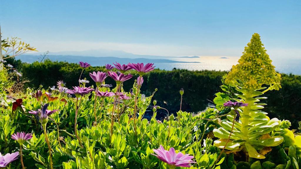 Vue mer panoramique et piscine Residence LES KATIKIAS 39 Avenue de l'Île Rousse, 83150 Bandol