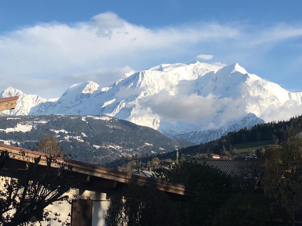 Vue Mont Blanc et toute la chaîne le Bionnassay 145 route de sallanches, 74920 Combloux