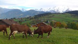 Vue Mont Blanc et toute la chaîne