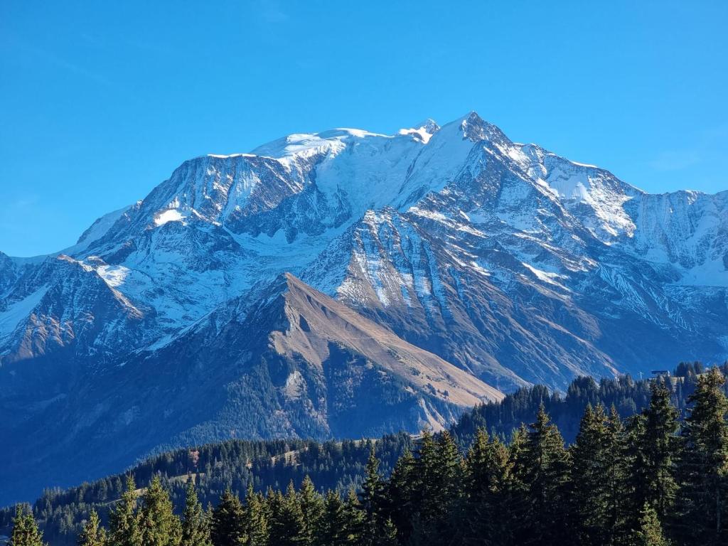 Vue Mont Blanc exceptionnelle Ski Saint-Gervais Route du Grattague, 74170 Saint-Gervais-les-Bains