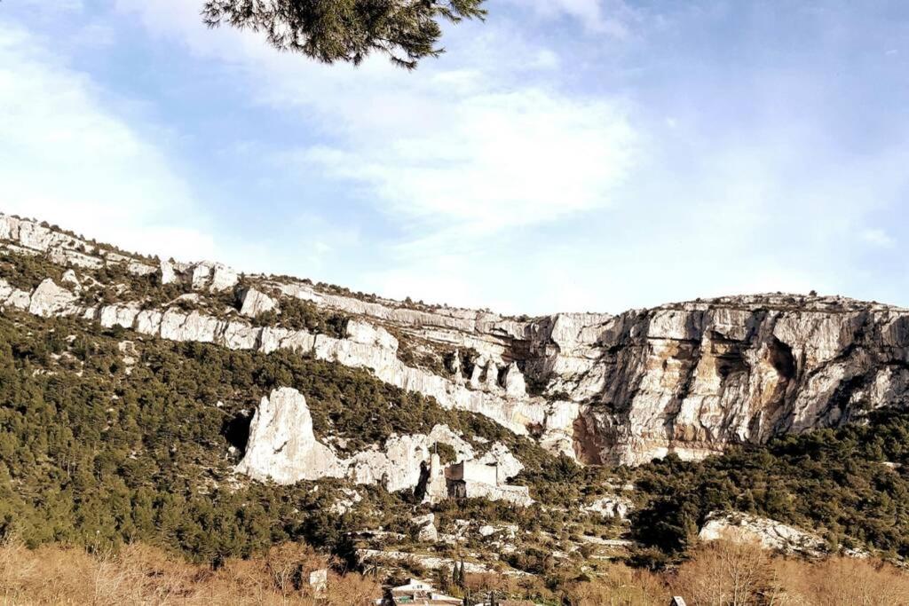 Vue panoramique sur le château,montagne et grottes 49 Rue des Écoles, 84800 Fontaine-de-Vaucluse
