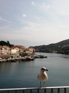 Vue sur Mer! Levers de lune et soleil en direct!