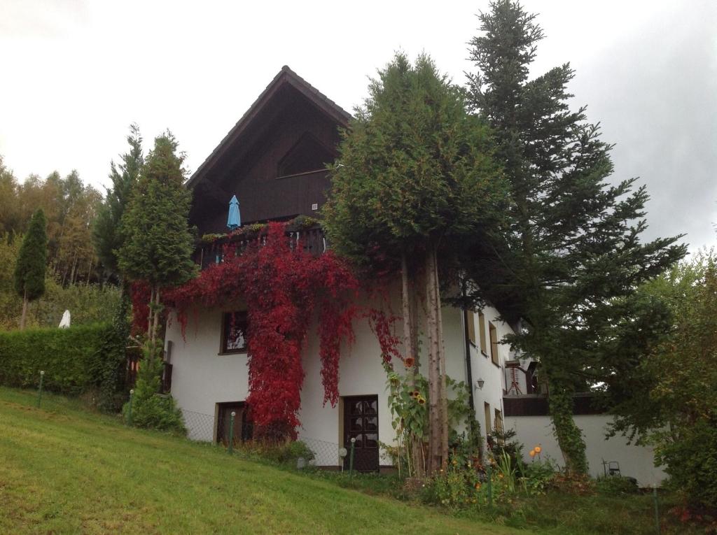 Appartement Waldblick - a62086 Karl-Dietze-Straße 14 09468 Tannenberg