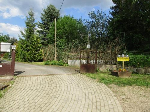 Waldblick