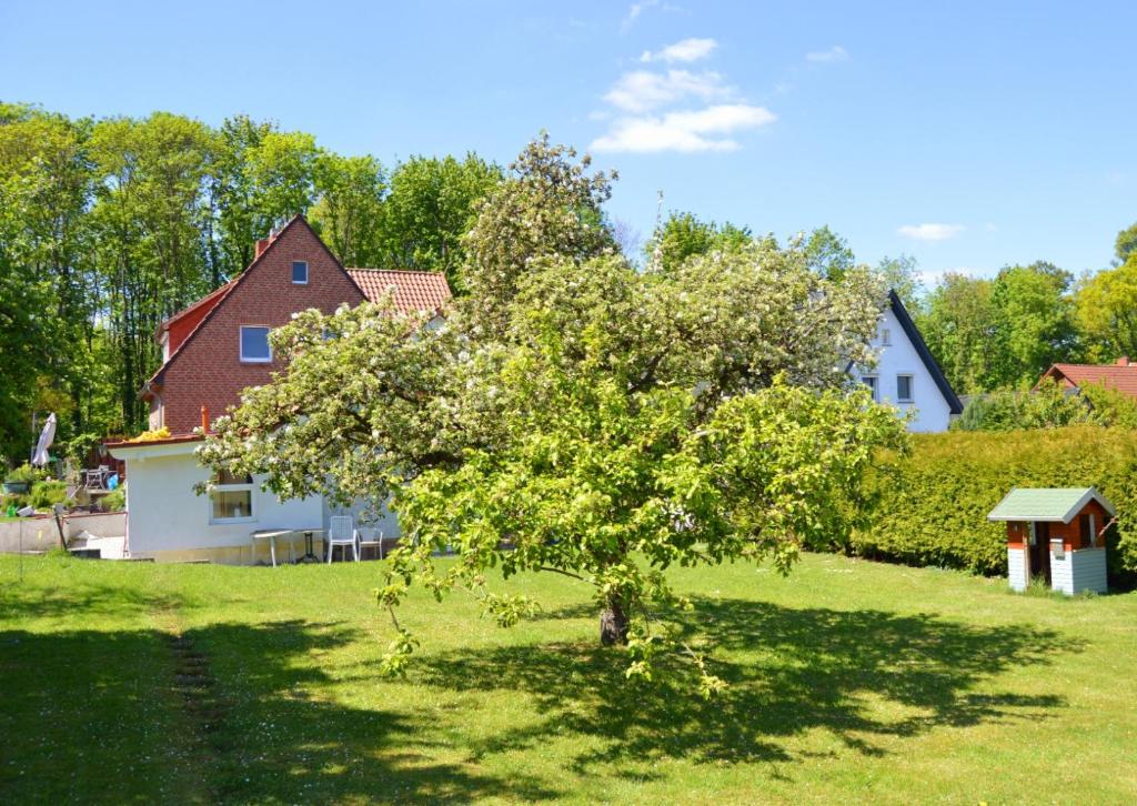 Maison d'hôtes Appartement Waldblick Bückeburg Am Sandfurt 14, 31675 Bückeburg