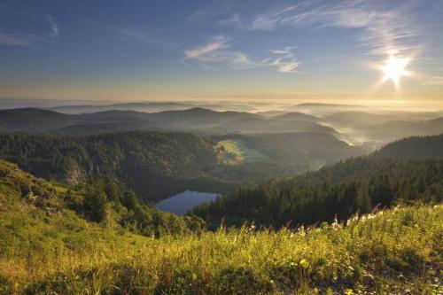 Waldloft Titisee (W19) + Hochschwarzwald Card