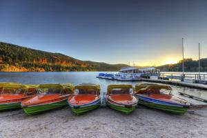 Waldoase Titisee (W18) + Hochschwarzwald Card