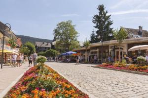 Waldoase Titisee (W18) + Hochschwarzwald Card