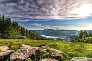 Waldtwin 1 Titisee (W11) + Hochschwarzwald Card