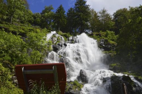 Waldtwin 2 Titisee (W12) + Hochschwarzwald Card