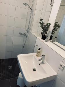 Appartement Wanderlust Trier 3 Olewiger Straße 54295 Trèves Rhénanie-Palatinat