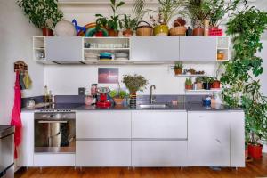 Warm and bright apartment in Paris 10