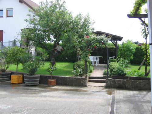 Weingut Arnold Pauly