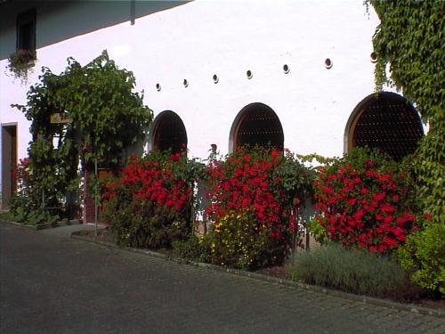 Weingut Arnold Pauly