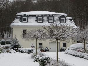Weisses-Haus-am-Kurpark-Fewo-Bergblick
