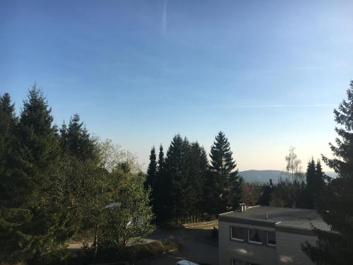 Weitblick