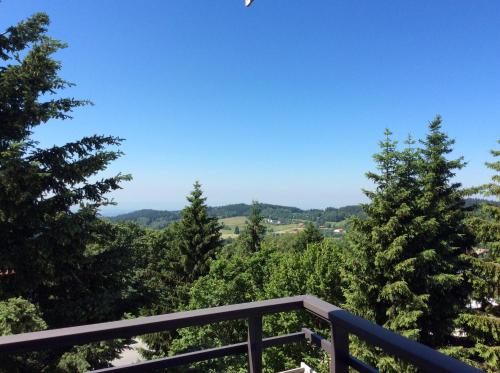 Wellness Apartment Sankt Englmar