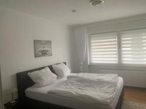 Appartement Wellness-Ferienwohnung Casa Catharina 15 Schulstraße 54320 Waldrach Rhénanie-Palatinat