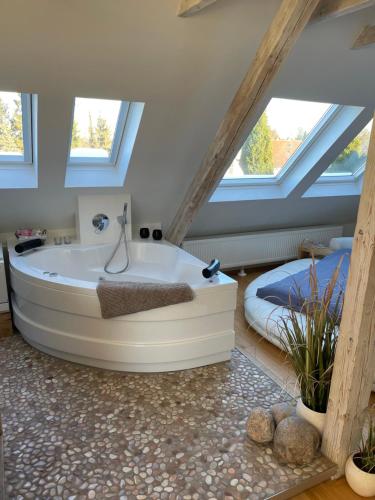 Wellness Suite