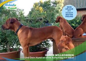 Wellness-Suite-im-Wald-am-See