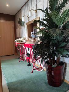 Wherry Green Guest House (PRAIA DA BARRA)❤️