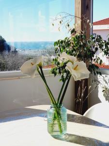 White House